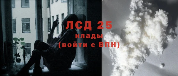 крисы Алзамай