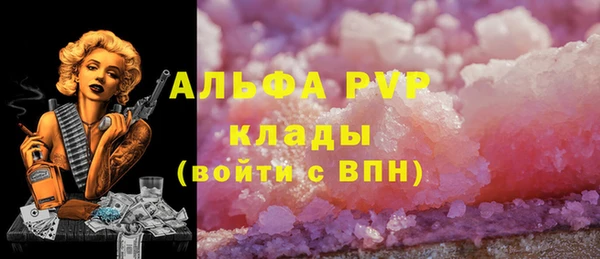 МДПВ Абаза