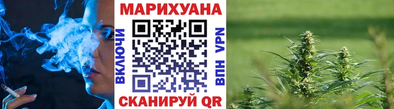 Конопля конопля  Чекалин 